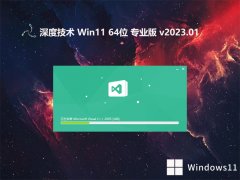 ȼ⼤win11 64λ²ٰv2023.01