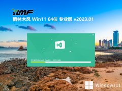 ľv2023.01win11 64λų